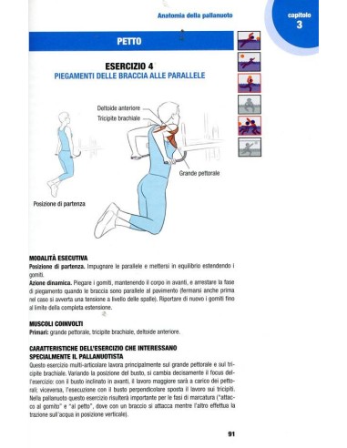 Allenamento fisico del pallanuotista