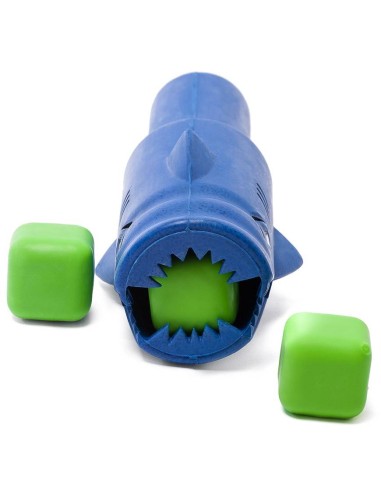 Gioco Squalo Scuola Nuoto