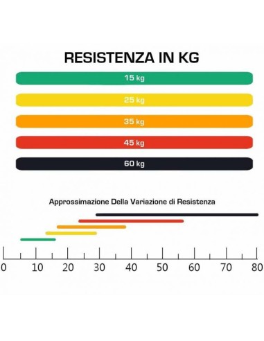 Set Bande Elastiche Fitness Completo 5 pezzi