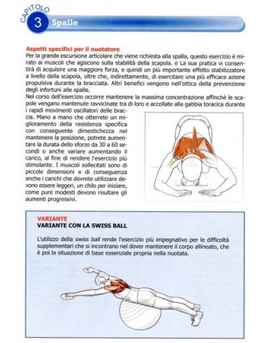 Swimming Anatomy di Ian McLeod