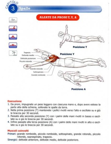 Swimming Anatomy di Ian McLeod