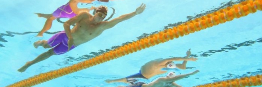 20 motivi per cui un nuotatore, di solito. è un dipendente migliore.