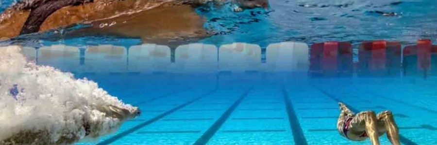 Nuoto: due allenamenti, ipossico e Katie Ledecky
