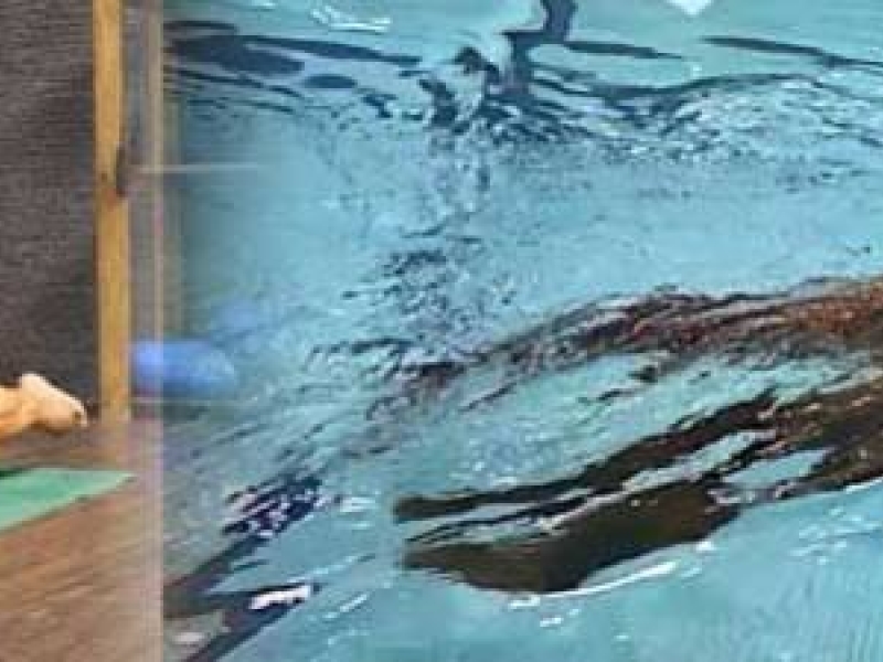 La Palla Medica, come la usano i nuotatori sia a secco che in acqua.